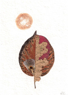 Bio-Morphic - Ana Llorente - Asoleándos