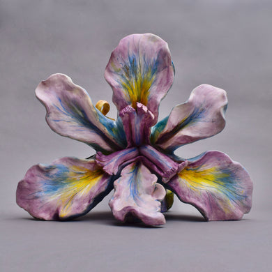 One Nest : Earthworks: Pairing 7: Vicki Gunter: Wild Iris …In Everything Series