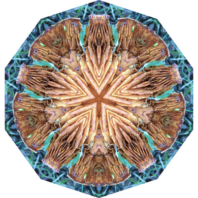 One Nest : Earthworks: Pairing 6: Elizabeth Addison: Mandala 010520, Opulent