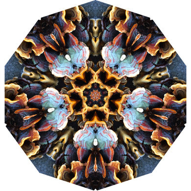 One Nest : Earthworks: Pairing 7: Elizabeth Addison: Mandala 011220, Intelligent Structures