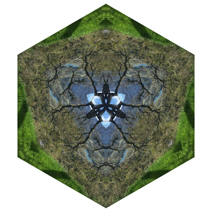 One Nest : Earthworks: Pairing 5: Elizabeth Addison: Mandala 031719, Open Spaces