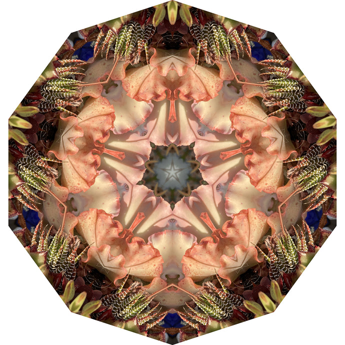 One Nest : Earthworks: Pairing 11: Elizabeth Addison: Mandala 081020, Pandemania Day 147 - Palette Inspiration