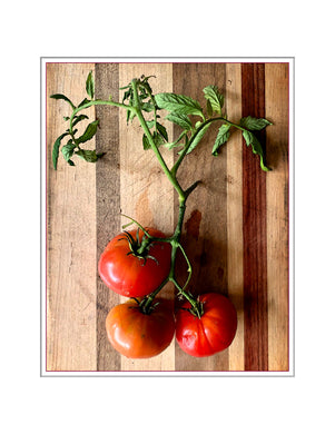 Transitions: Michael McNamara: 3 Tomatoes on the Vine