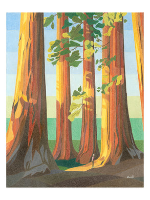 Moonji Pickering: Print - Sequoia Trees