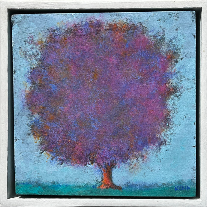 Rena Charles : Canopy Dreams - Sun Sparkle Tree