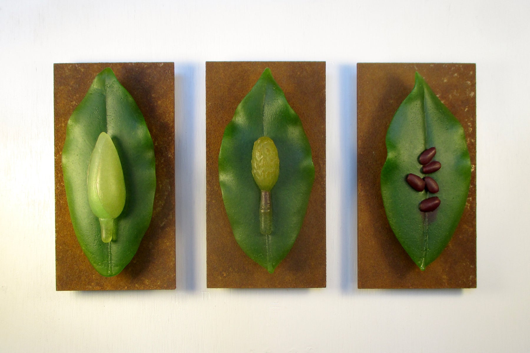 Particles-Ellen Abbott: Magnolia Leaves with Flower Bud, Nascent Seed Pod, and Seeds