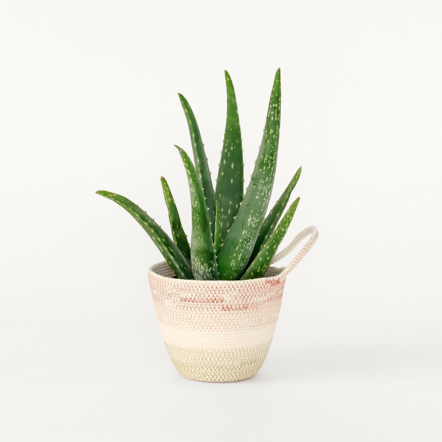 Moriah Okun: Medium Planter